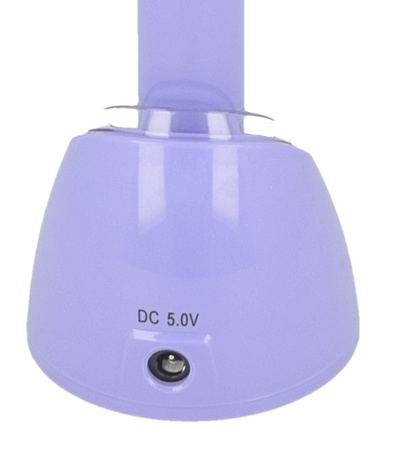 LED curing light DTE/Woodpecker iLED (purple)