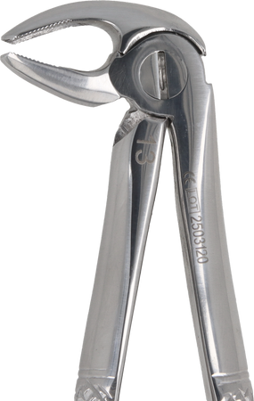 Berten type extraction forceps PLUS - 13 lower premolars
