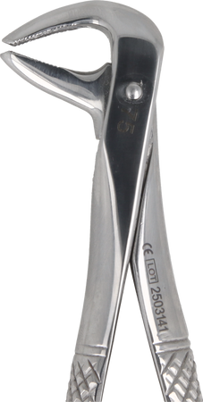 Berten type extraction forceps PLUS - 75 lower premolars